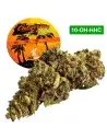 California Haze® 10-OH-HHC