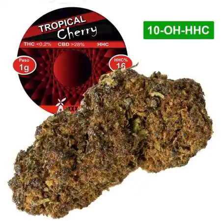 Tropical Cherry® 10-OH-HHC