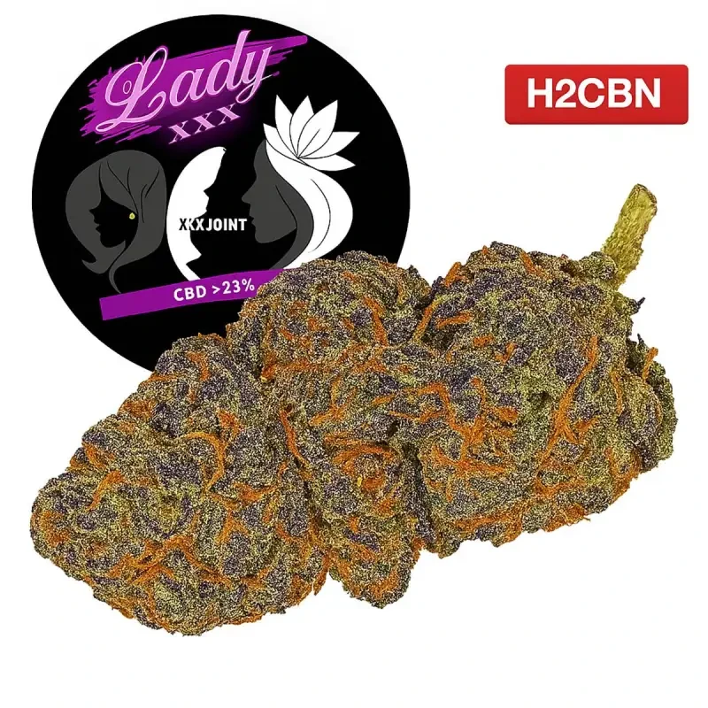 Lady XXX® H2CBN
