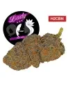 Lady XXX® H2CBN