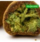 Moonrock® 10-OH-HHC 75%