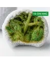 IceRock® 10-OH-HHC 85%