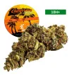 California Haze®