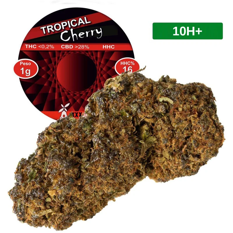 Tropical Cherry®
