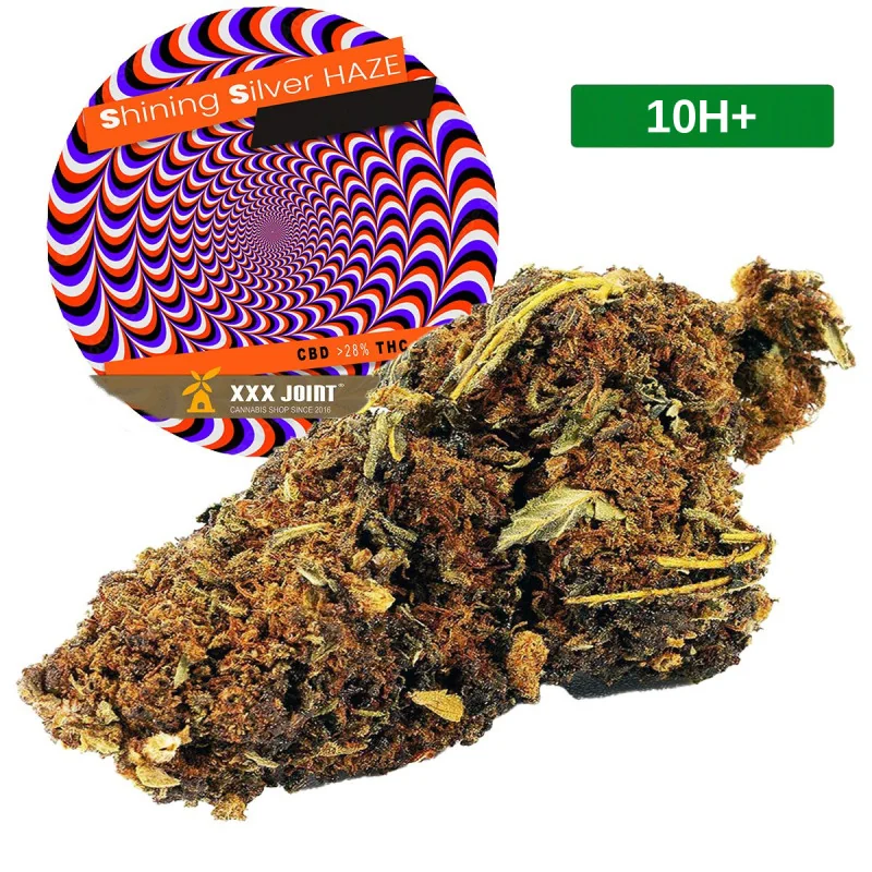 Shining Silver Haze®