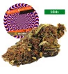 Shining Silver Haze®