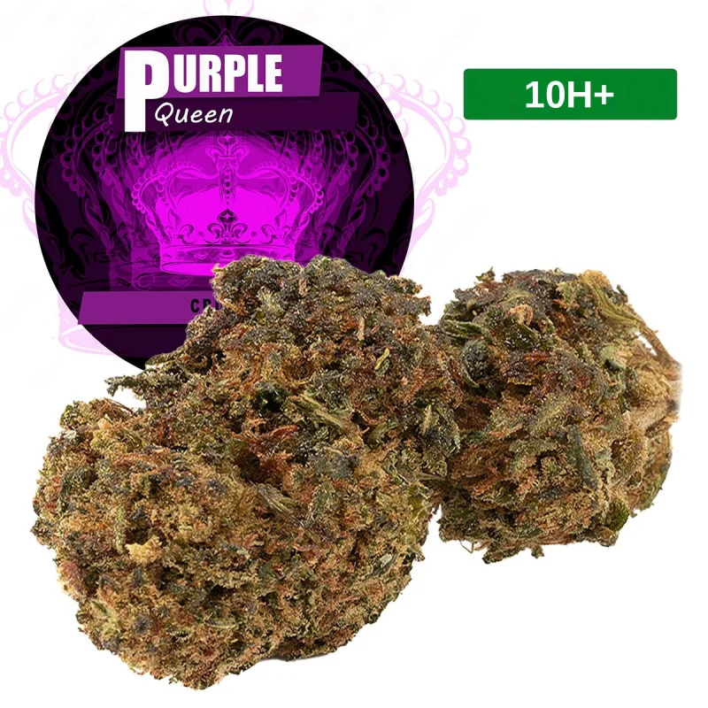 Purple Queen®