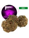 Purple Queen®