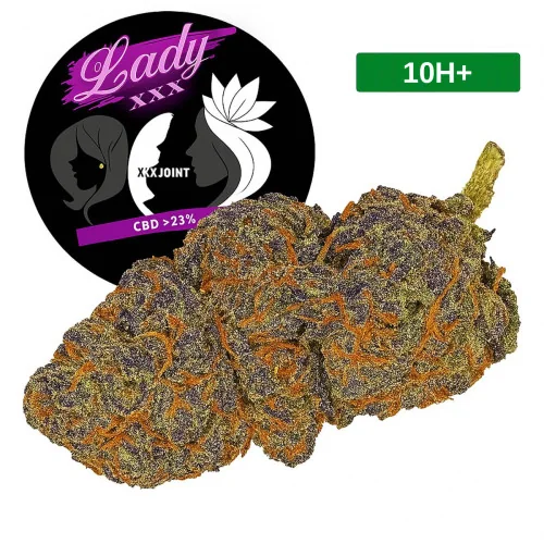 Lady XXX®