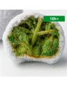 IceRock® 10H+