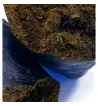 Sfuso Hashish light CBD 35% Sfuso Hashish light CBD 35%