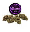 Kit degustazione Erba legale 6pcs 1g cbd 35%