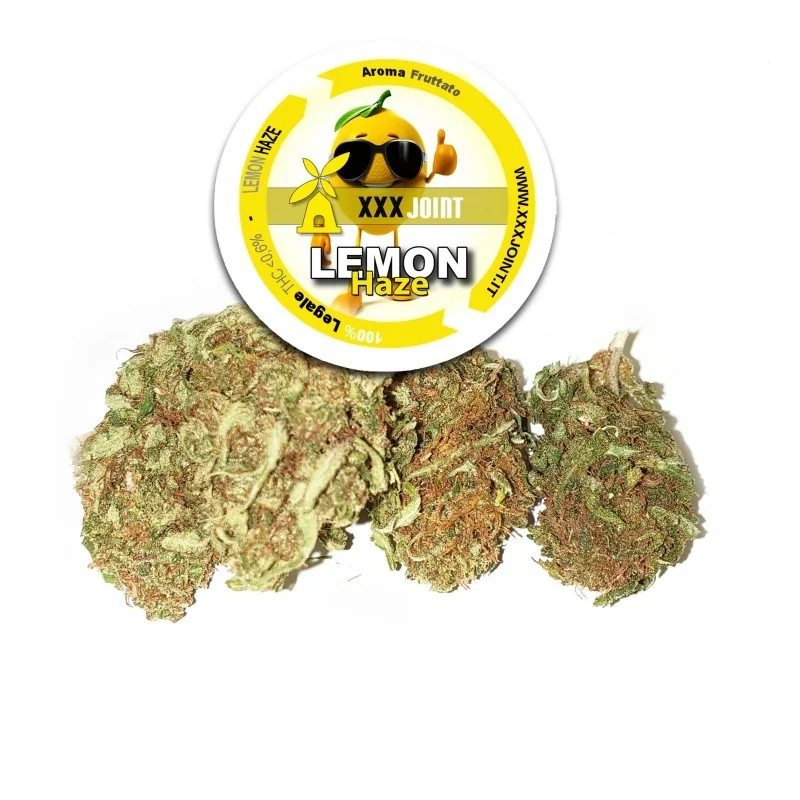 Kit degustazione Erba legale 6pcs 1g cbd 35%