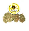 Kit degustazione Erba legale 6pcs 1g cbd 35%