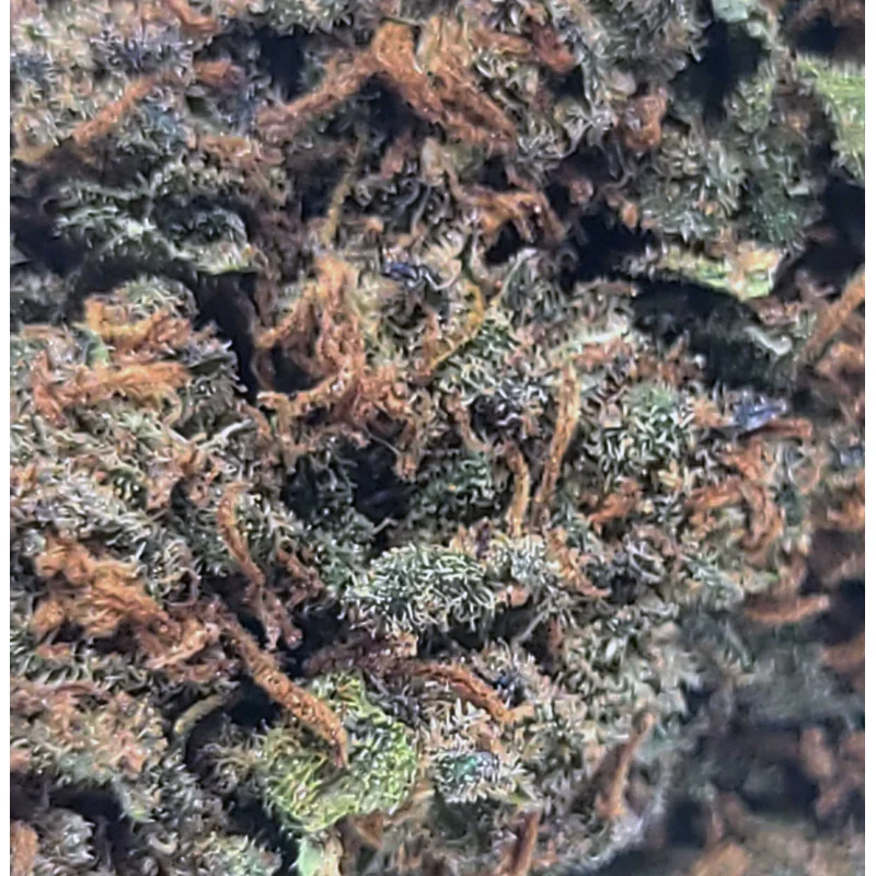 Lemon Haze® CBD 17%