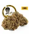 AK47® CBD 26%