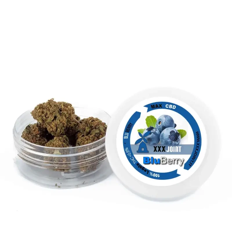 Blueberry® CBD 26%