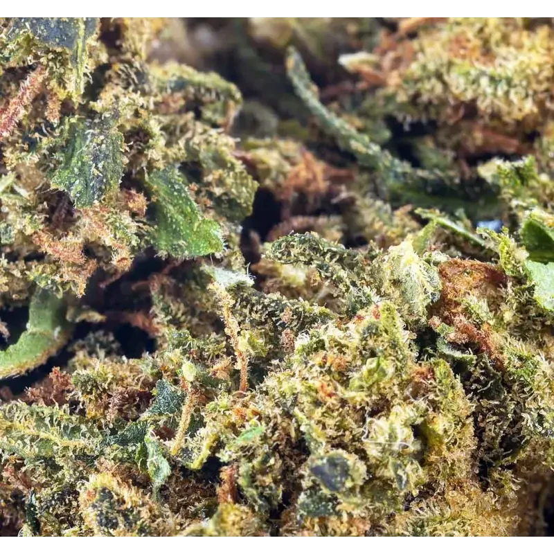 Amnesia Haze® CBD 20%