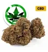 Super Skunk® CBD 26%