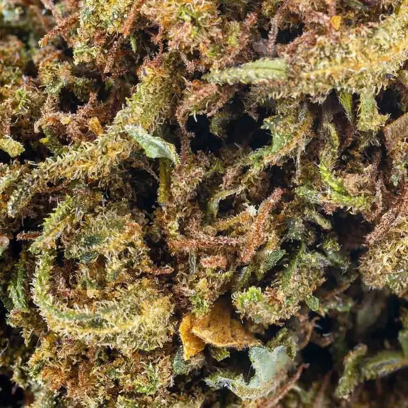 Super Skunk® CBD 26%