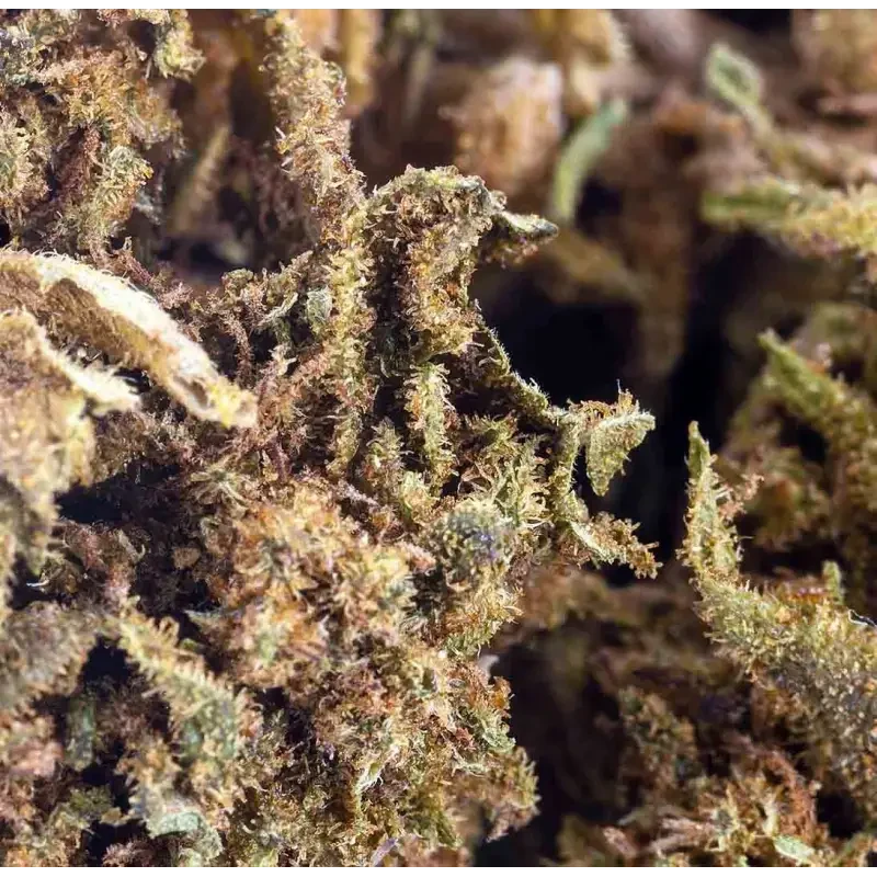 White Widow® CBD 25%