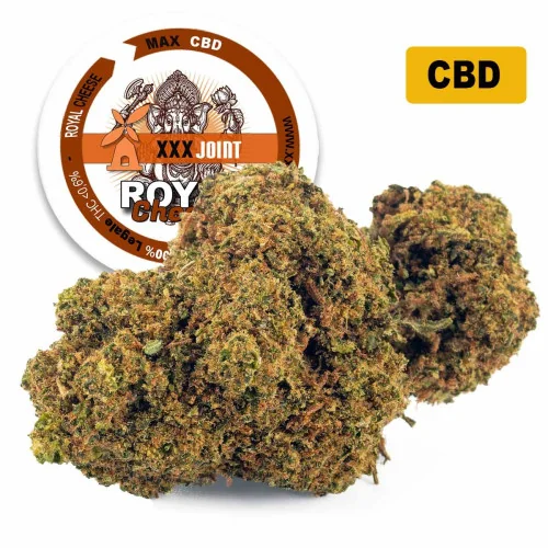 Royal Cheese® CBD 30%