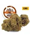 Royal Cheese® CBD 30%