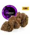 Purple Haze® CBD 28%