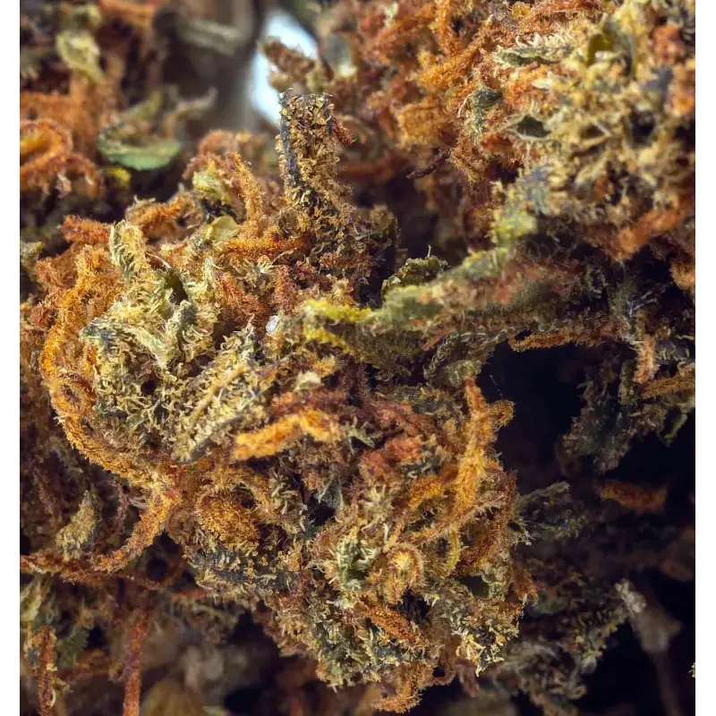 Purple Haze® CBD 28%