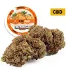Orange Bud® CBD 24% Orange Bud® CBD 24%