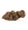 Orange Bud® CBD 24% Orange Bud® CBD 24%