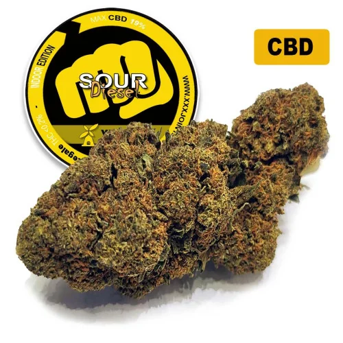 Sour Diesel® CBD 19%