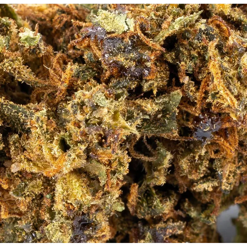 Acapulco Gold® 10-OH-HHC