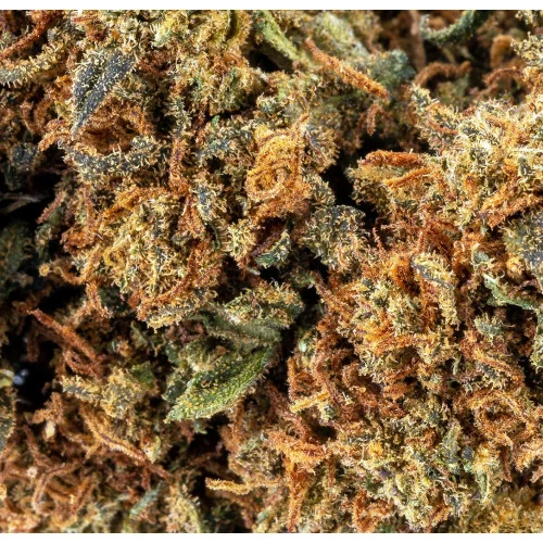 Strawberry® CBD 20%