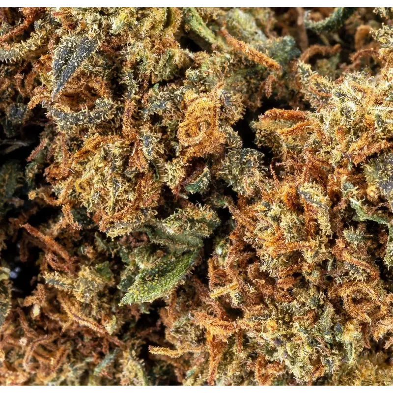 Strawberry® CBD 20%