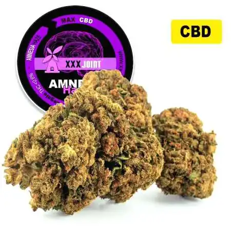 Amnesia Haze® CBD 20%