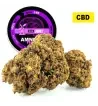 Amnesia Haze® CBD 20%