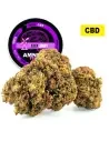 Amnesia Haze® CBD 20%