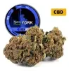 New York Diesel® CBD 29%