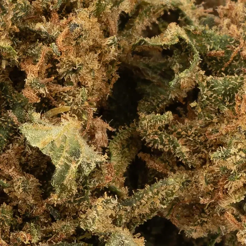 New York Diesel® CBD 29%