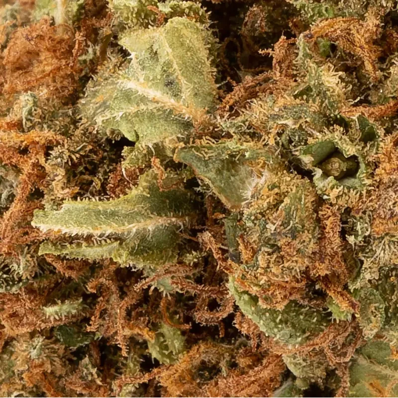 Supreme Weed® CBD 28%