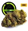 Northern Light® CBD 18%