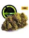 Northern Light® CBD 18%