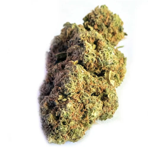 Northern Light® CBD 18%