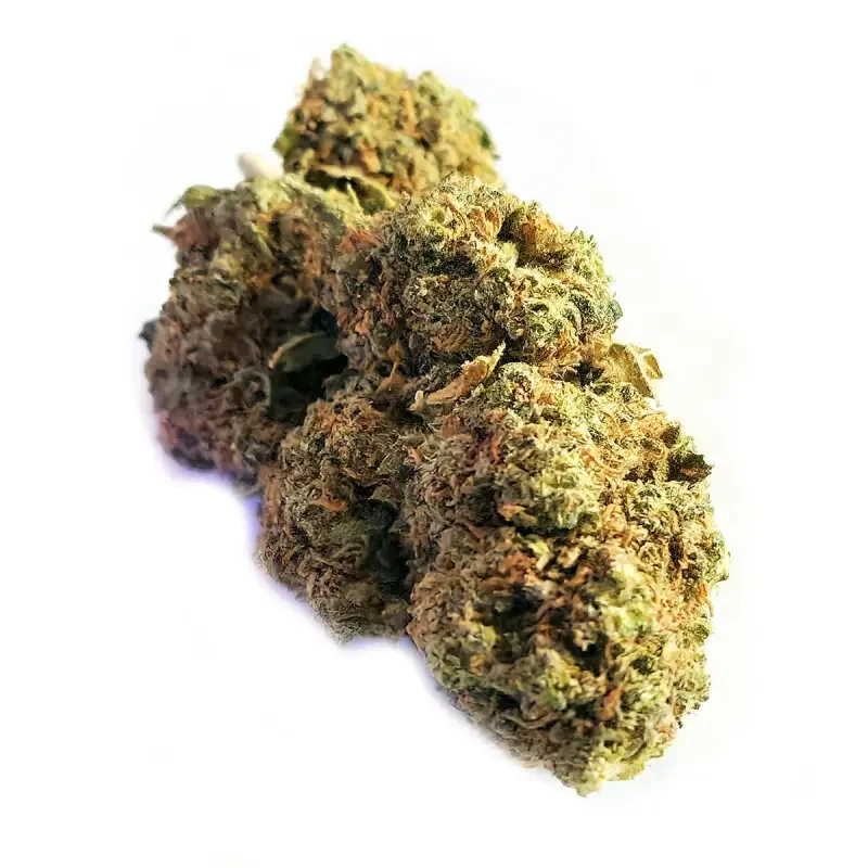 Northern Light® CBD 18%