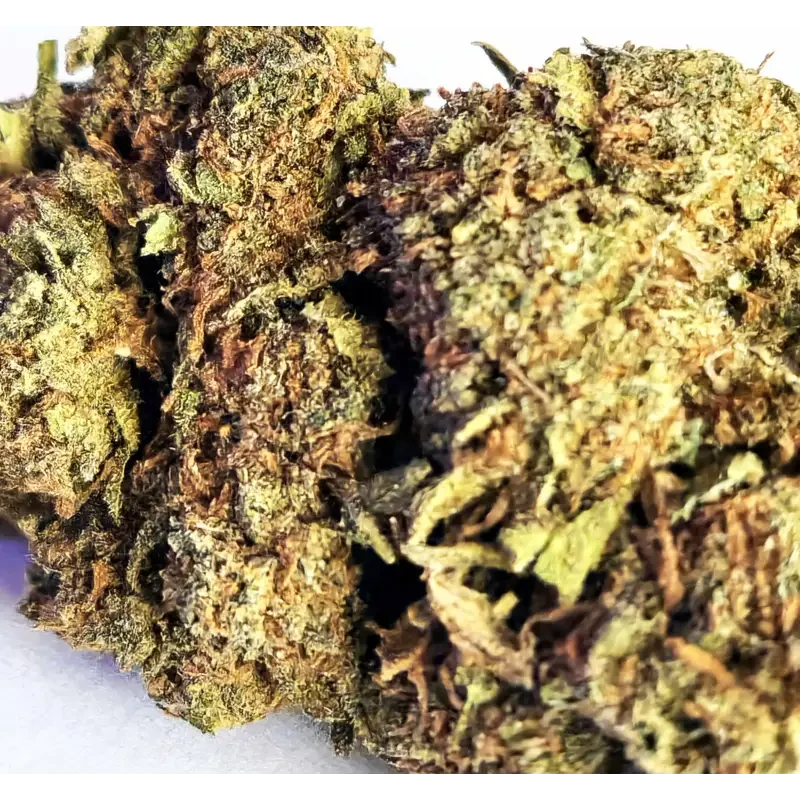 Northern Light® CBD 18%