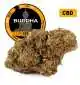 Buddha Kush® CBD 20%