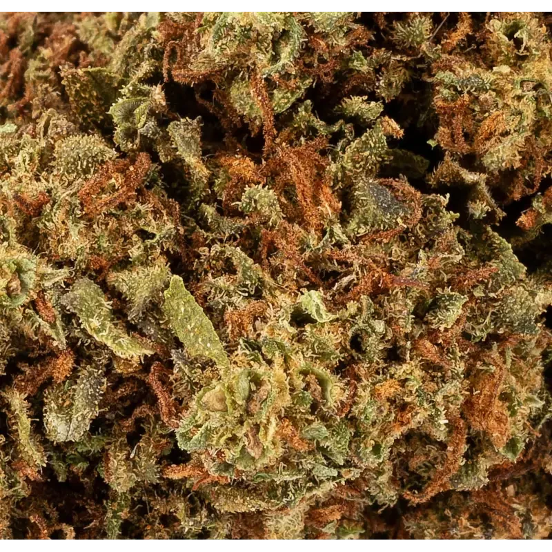 Buddha Kush® CBD 20%
