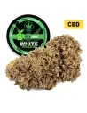 White Widow® CBD 25%