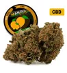 Mango Kush® CBD 26%